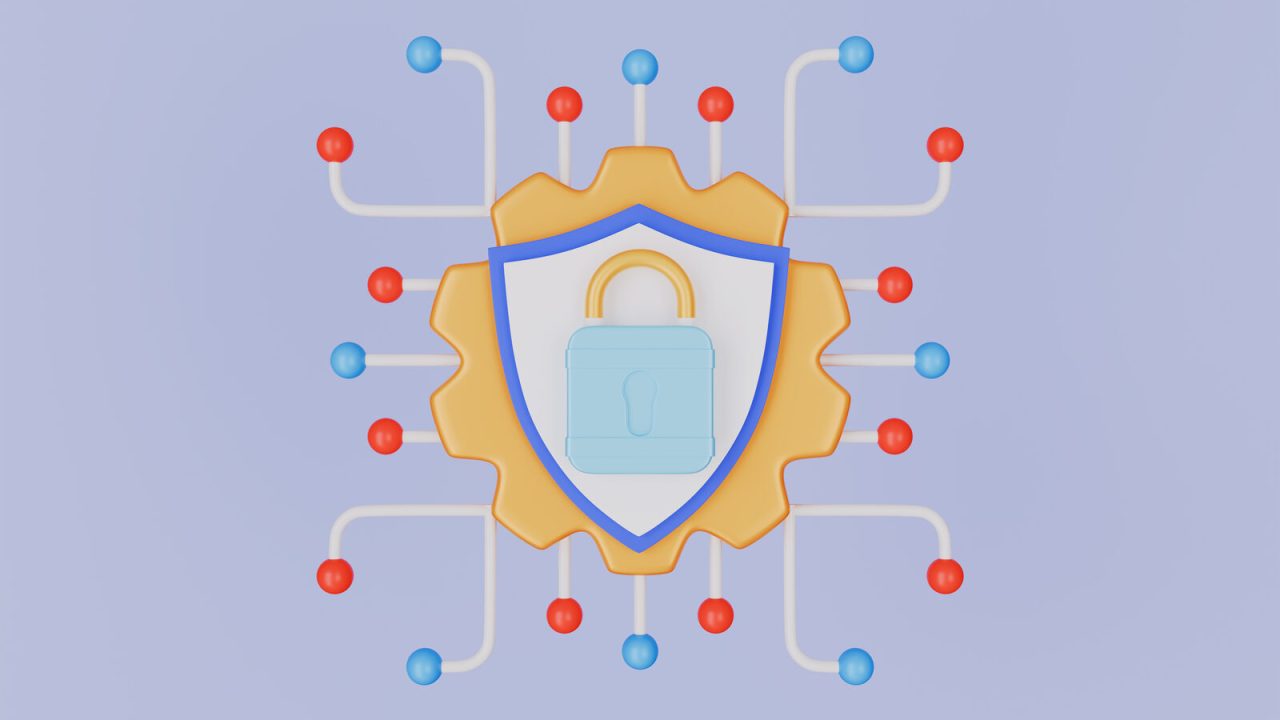 Secure server connection and data protection concept